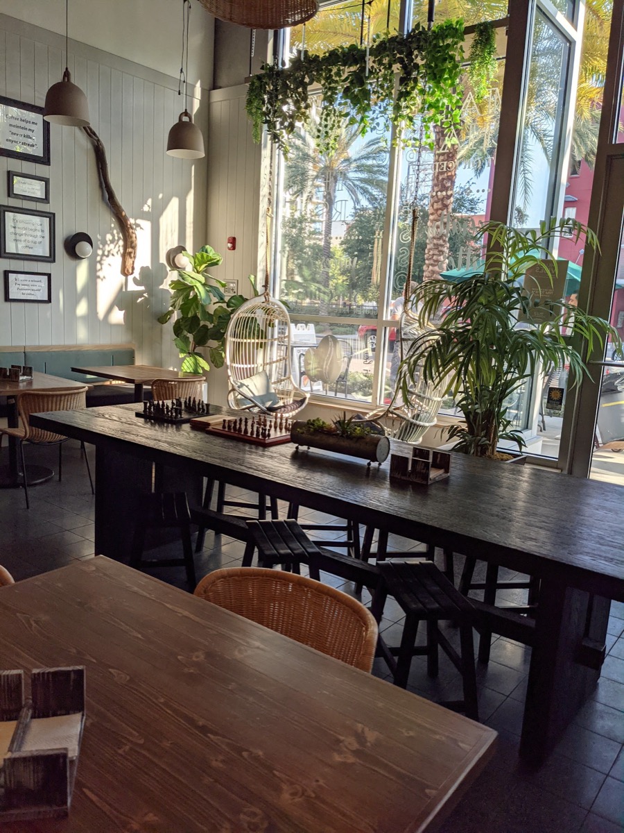 Long wooden tables and chairs among hanging plants and a chess set by the front windows.